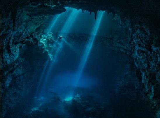 Imagini incredibile publicate de National Geographic