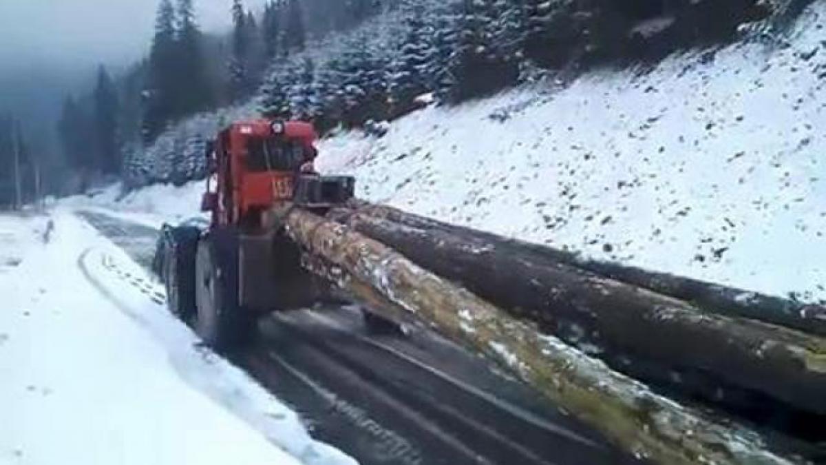 Video Cum Distrug Ho Ii De Lemne Transrar Ul Unul Dintre Cele Mai