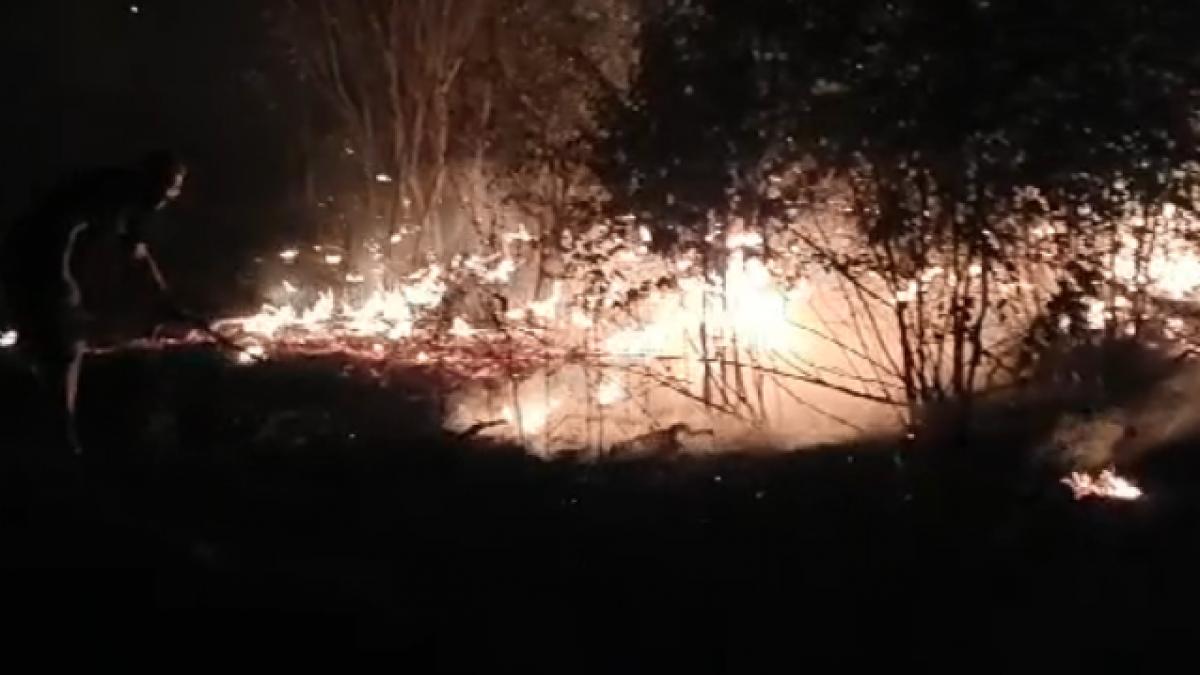 Incendiu Uria N Parcul Ior Din Bucure Ti