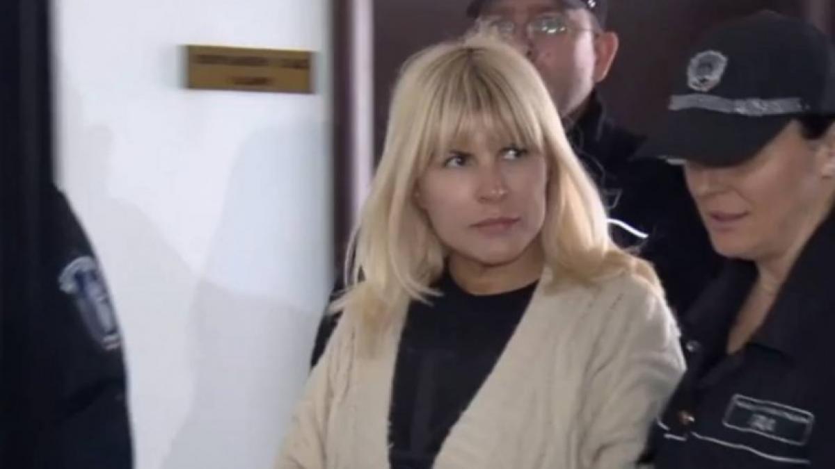 Elena Udrea ar putea scăpa astăzi de pușcărie ÎCCJ se pronunță pe