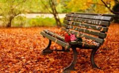 Prognoza METEO pentru următoarele patru săptămâni. Temperaturi normale perioadei și chiar mai ridicate, fără ploi