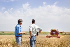Oportunități în agricultură, pentru cei dispuși să învețe