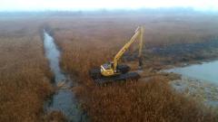 Reconstrucţie ecologică pe malul Dunării