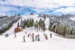 Cum va fi vremea în următoarea lună. Temperaturi peste media normală