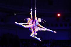 Accident grav la Circul Metropolitan București. Acrobat, în stare critică