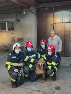 Timiș: Misiune riscantă pentru salvarea unui câine căzut într-un puț adânc