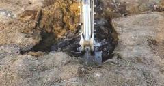Cimitirul oilor de la Smârdan. Pe ochi frumoşi se pregătea umflarea pe hârtie a capacităţii de incinerare de la 18 t/zi la 108 t/zi