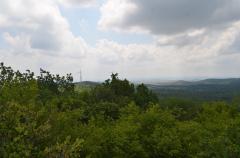 Un tezaur de peste două mii de ani a fost descoperit într-un sat din judeţul Olt