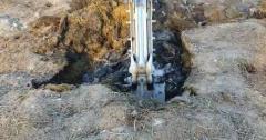 Gelu Cazacioc, băgat la beci pentru furt de curent