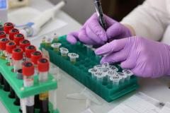 MedLife: 92 de cazuri de cazuri cu tulpina britanică din 92 de probe secvențiate