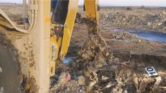 Cimitirul oilor de la Smârdan - Gelu Cazacioc, trimis în judecată pentru furt de curent