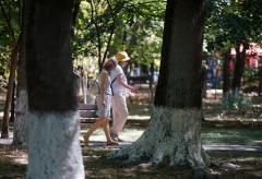 5 sfaturi de la nutriționiști pentru reducerea colesterolului 