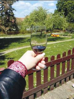 Cultura milenară a zonelor viticole, redescoperită prin degustări