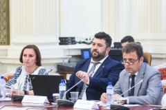 Ziua națională a mediatorului, da, Ziua națională a medierii și a mediatorilor, nu