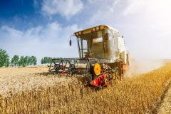 Despăgubirile plătite de Groupama fermierilor s-au dublat anul trecut