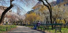 Prognoza meteo pe 4 săptămâni. Temperaturi mai mici decât cele normale pentru această perioadă
