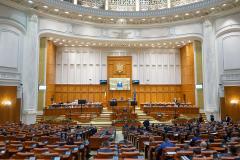 Doi membri AUR au fost amenințați de un consilier PNL: Dăm drumul la câini