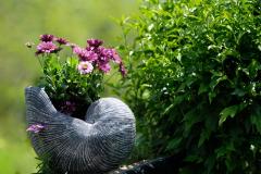 Patru trucuri pentru plante mai sănătoase