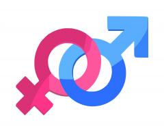 Probleme „tehnice” ale educației sexuale în școli