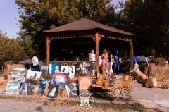 Prima ediție a Festivalului Etnica, la final
