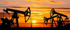 Acțiunile Rompetrol Rafinare, operatorul Petromidia, scad la BVB
