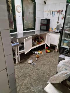 Băile Tușnad – locul unde urșii sunt ca Avram Iancu