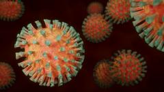 Alertă maximă în Brașov. 140 de infecții cu Norovirus la Râșnov
