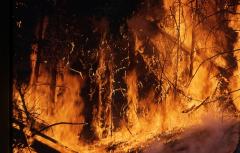Incendii în Grecia: Aerul a devenit aproape irespirabil la Atena