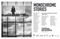 Cea mai mare colecție privată de artă din Ungaria, expusă la Centrul de Interes. Marina Abramović, Gerhard Richter sau Sol LeWitt, printre artiștii expuși