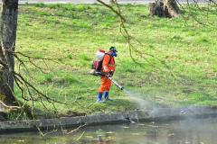 O nouă dezinsecţie în Capitala. Se „curăță” sectorul cu țânțari purtători de West Nile