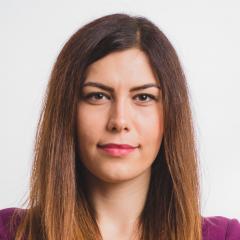 Lider USR, despre PNDL3: Un nou program de cumpărat primari și alimentat clientela politică