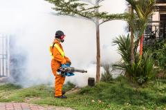O firmă de deratizare reprezentată de Casa de avocatură a Cristinei Trăilă, contract fără licitație de la primăria USR-istului Allen Coliban