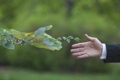Dezvoltarea sustenabilă: ce înseamnă și cum o putem integra în aspectele importante ale vieții