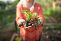 Ce plantăm în funcție de sezon? Descoperă ofertele GrădinaMax
