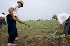 Promisiuni de 16 miliarde de euro la Ministerul Agriculturii făcute pe repede-înainte