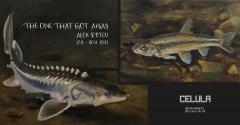 Despre biodiversitate și pierderea sa progresivă, la Celula de artă, până pe 30 noiembrie
