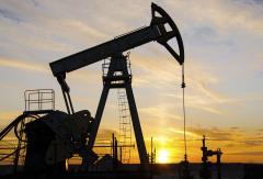 SUA cer Japoniei, Chinei și altor state să ia în calcul reducerea rezervelor de petrol 