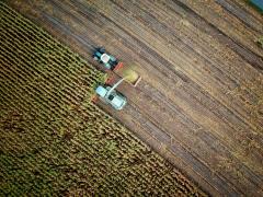 UE: soluții pentru agricultură în vremuri de criză