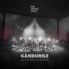 De Crăciun, formația The Mono Jacks lansează varianta simfonică a piesei ”Gândurile”