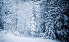 Vremea în luna ianuarie: Temperaturi normale în toată țară și precipitații doar în anumite regiuni