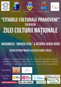 Citadele culturale - turneu cu ocazia Zilei Culturii Nationale