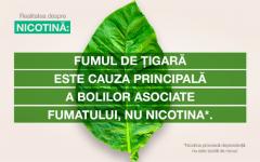 Nicotina: „mituri” și realitate în legătură cu fumatul