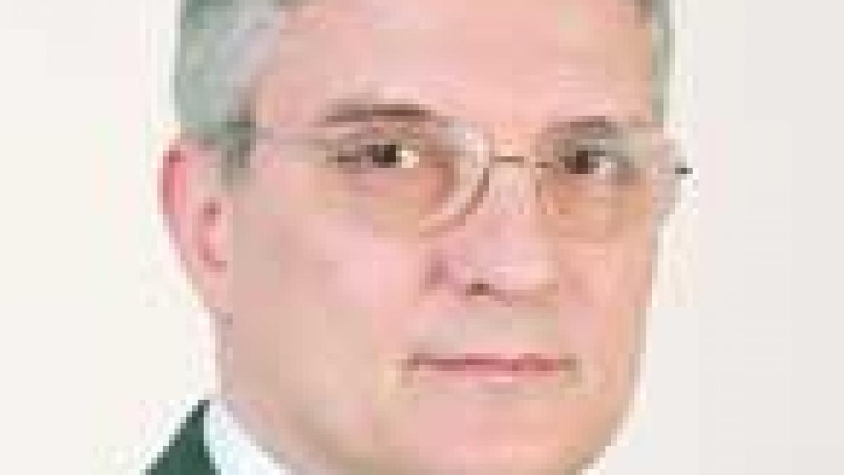 Reforma militara: o chestiune economica