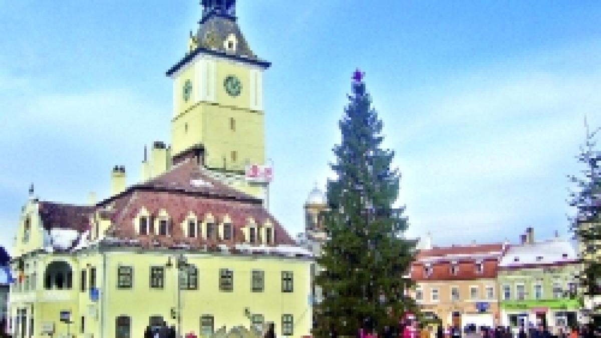 Romania in coaja de brad