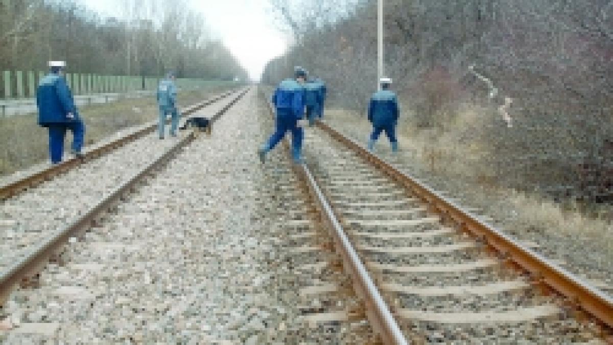 Culmea cinismului  -  Ucigasul, arestat pentru hotie