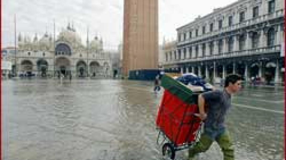 Proiect - "Oxigen" pentru comoara venetiana