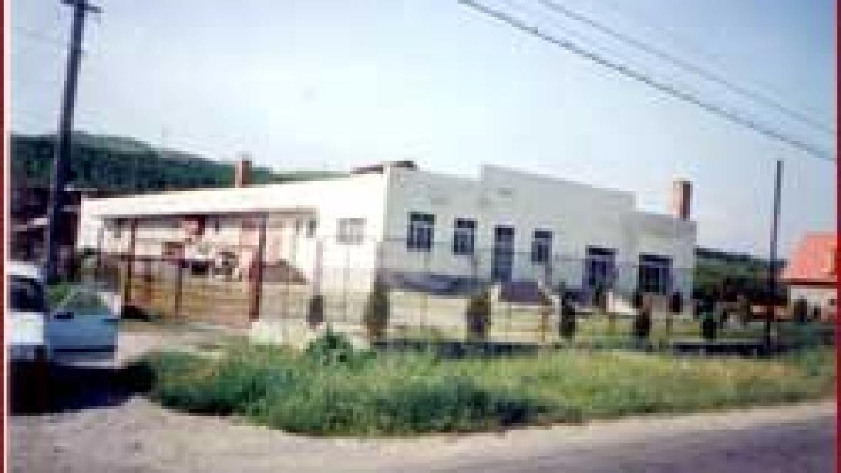 Valcea - Controlorii Politiei, mituiti cu vacante