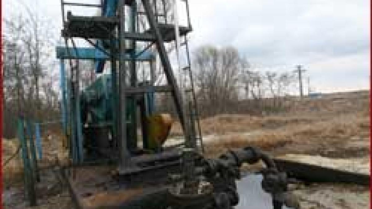 Afaceri - Se vinde Petromservice