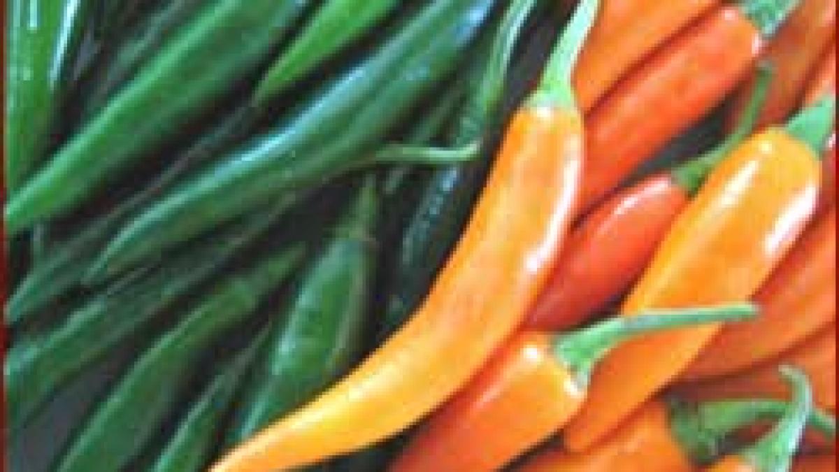 Studiu - Tratament "fierbinte" contra diabetului