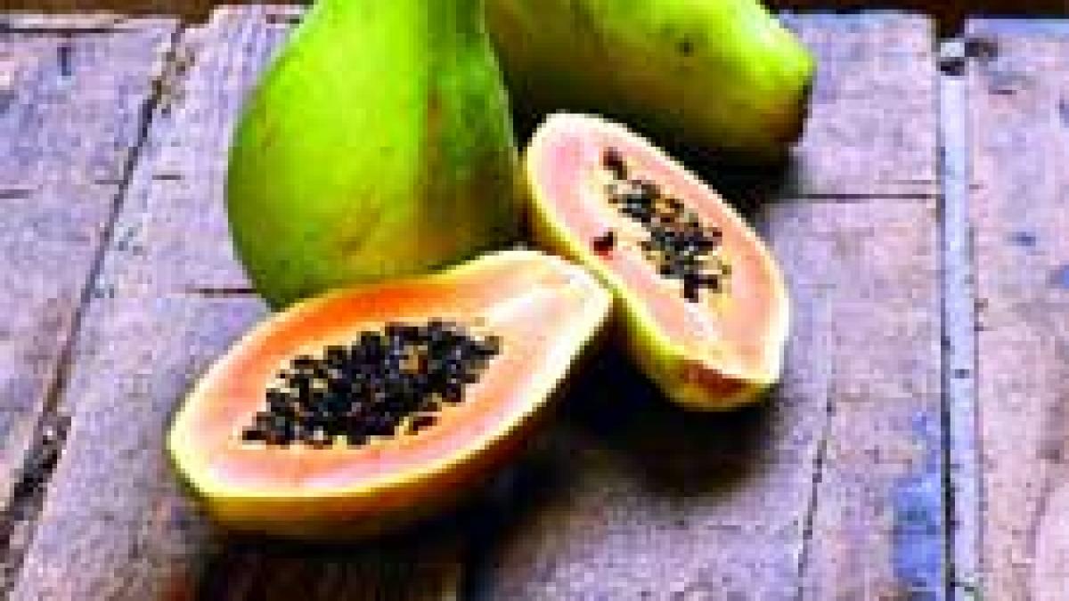 Fructe seducatoare